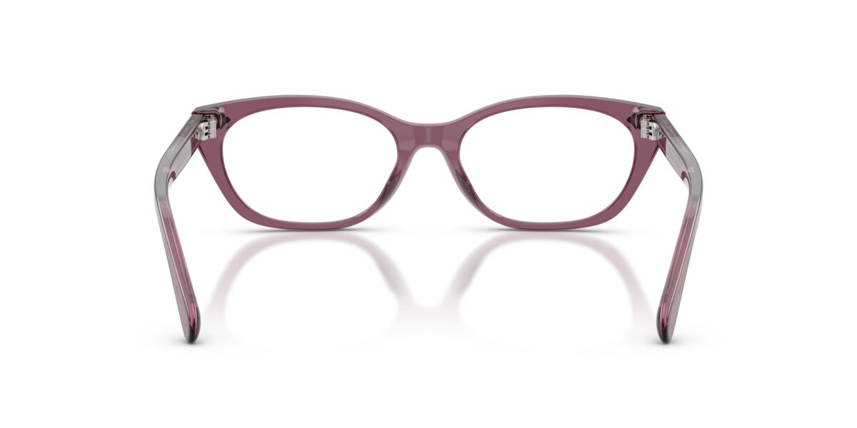 Ralph Lauren RL6268U 6389