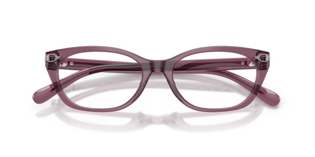 Ralph Lauren RL6268U 6389