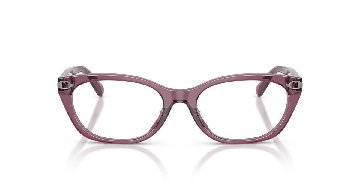 Ralph Lauren RL6268U 6389