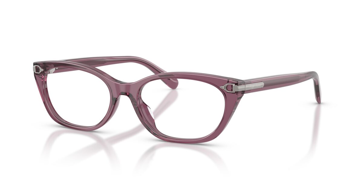 Ralph Lauren RL6268U 6389