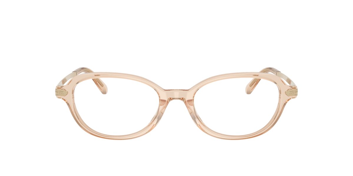 Ralph Lauren RL6269U 6062