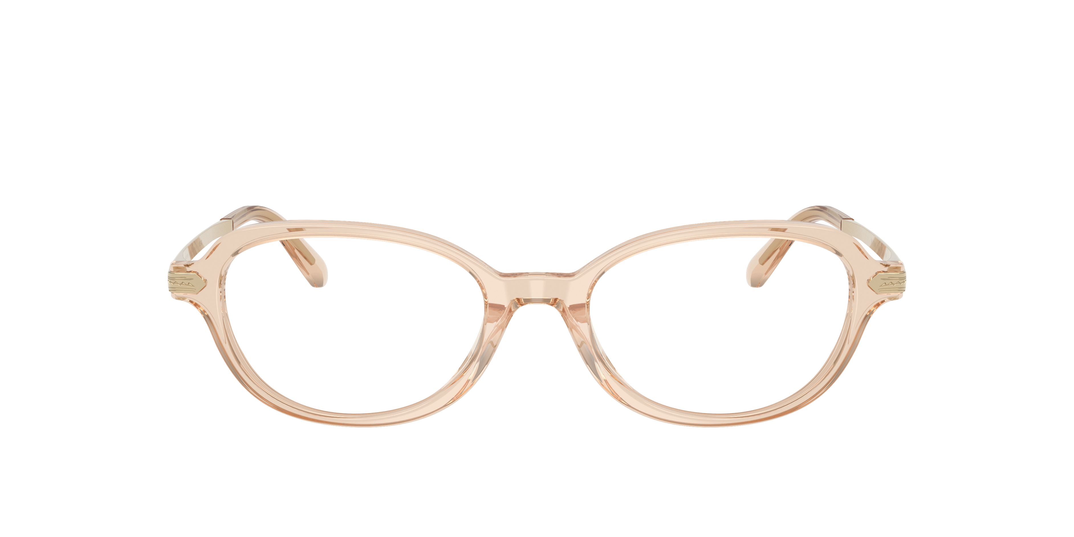 Ralph Lauren RL6269U 6062