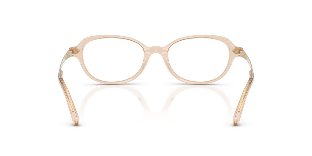 Ralph Lauren RL6269U 6062