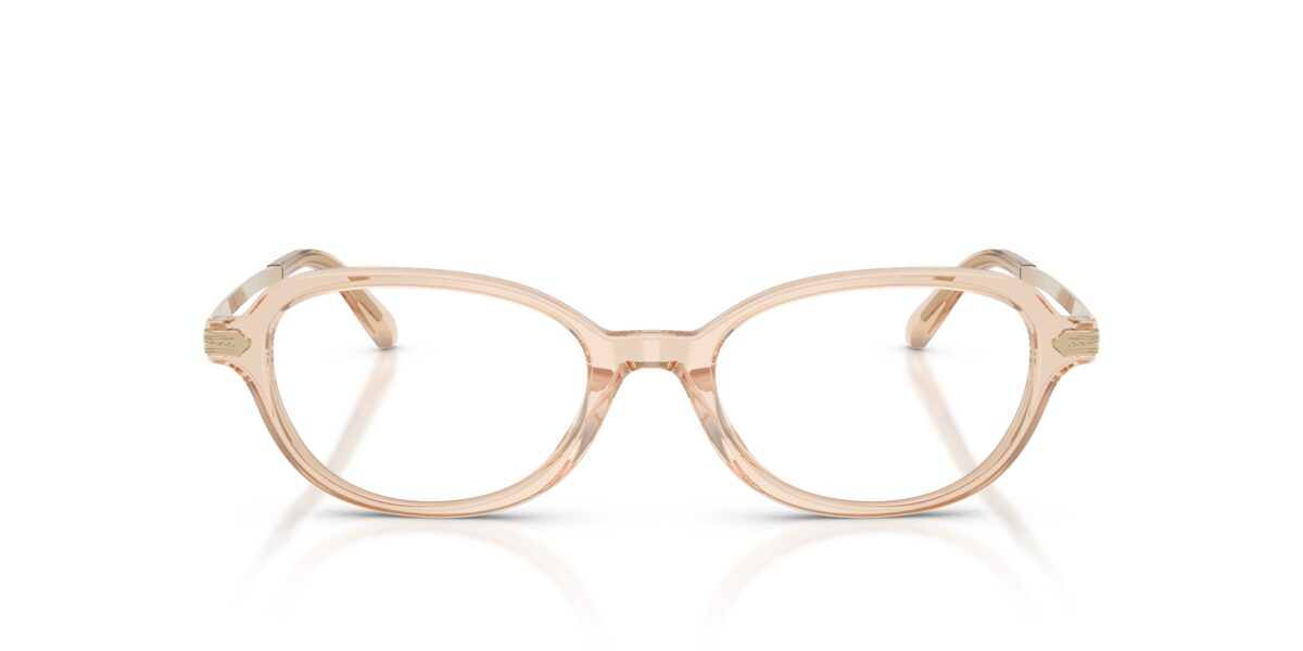 Ralph Lauren RL6269U 6062