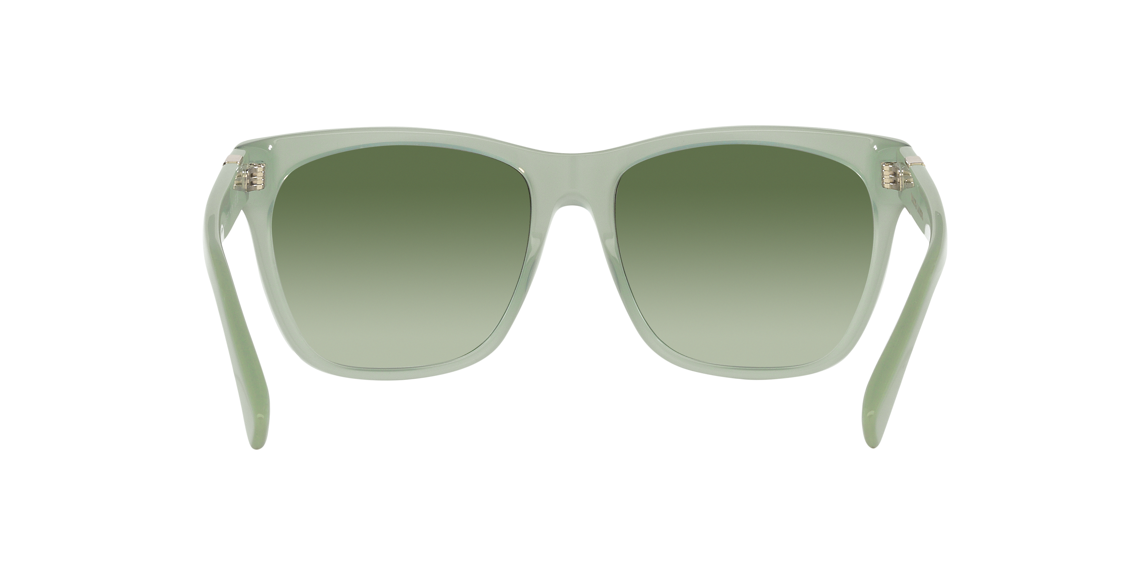 Ralph Lauren RL8212 THE RICKY II 60498E