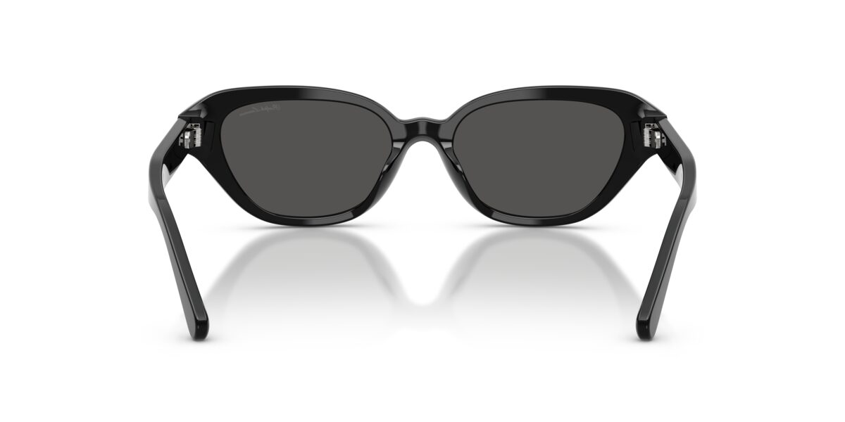 Ralph Lauren RL8244U 500187