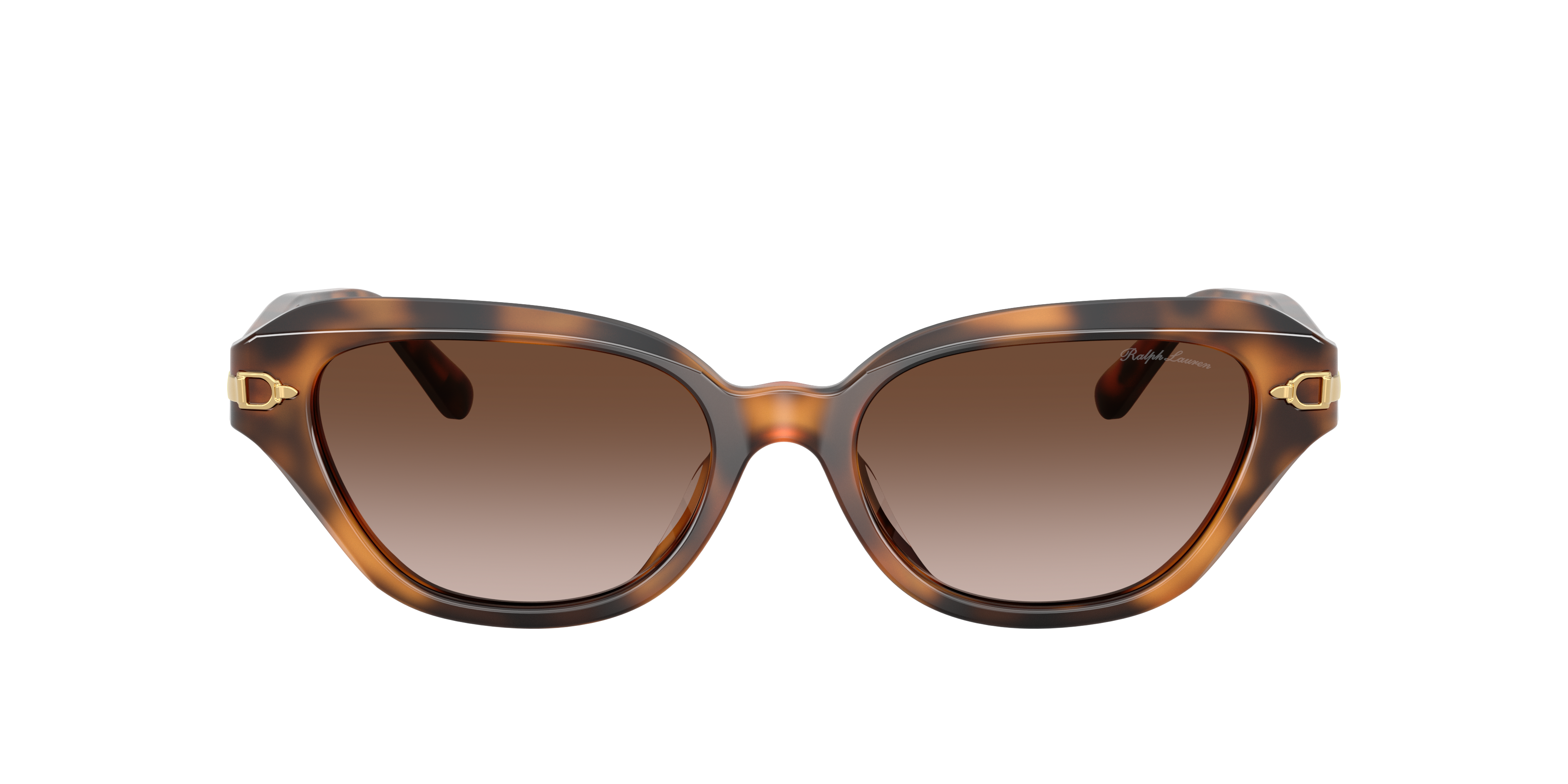Ralph Lauren RL8244U 608913