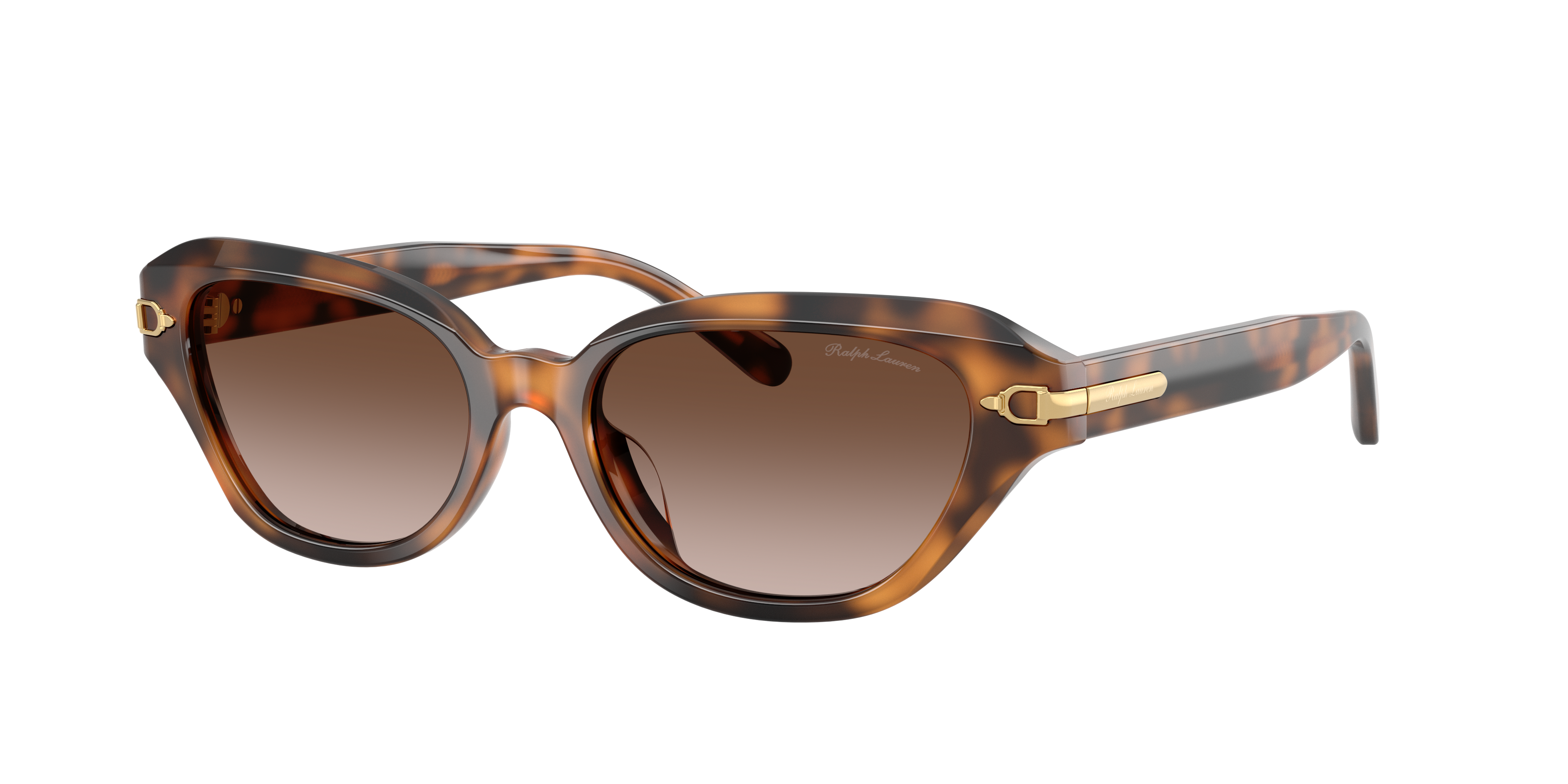 Ralph Lauren RL8244U 608913