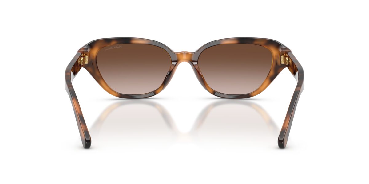 Ralph Lauren RL8244U 608913