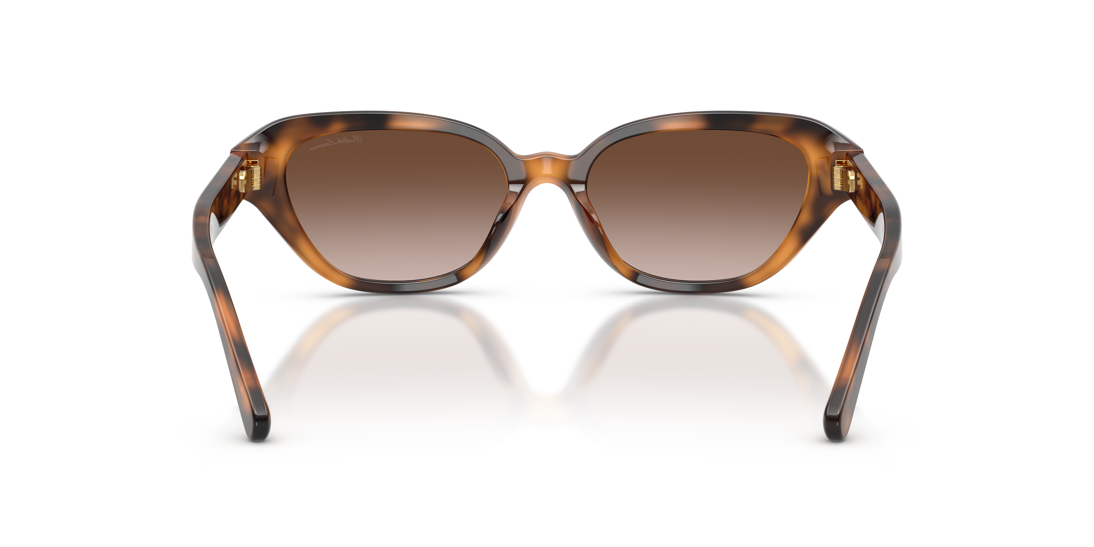 Ralph Lauren RL8244U 608913