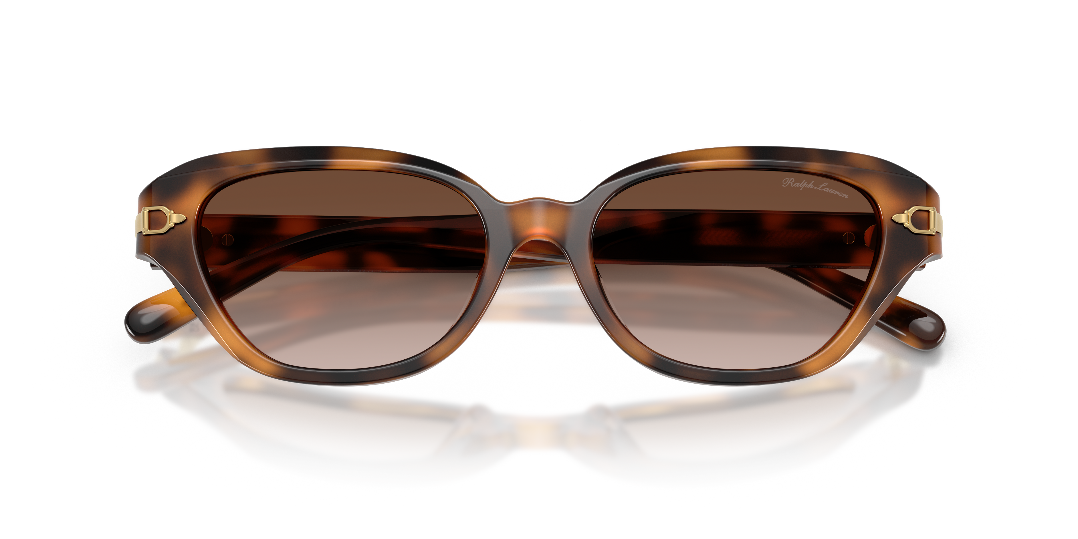 Ralph Lauren RL8244U 608913