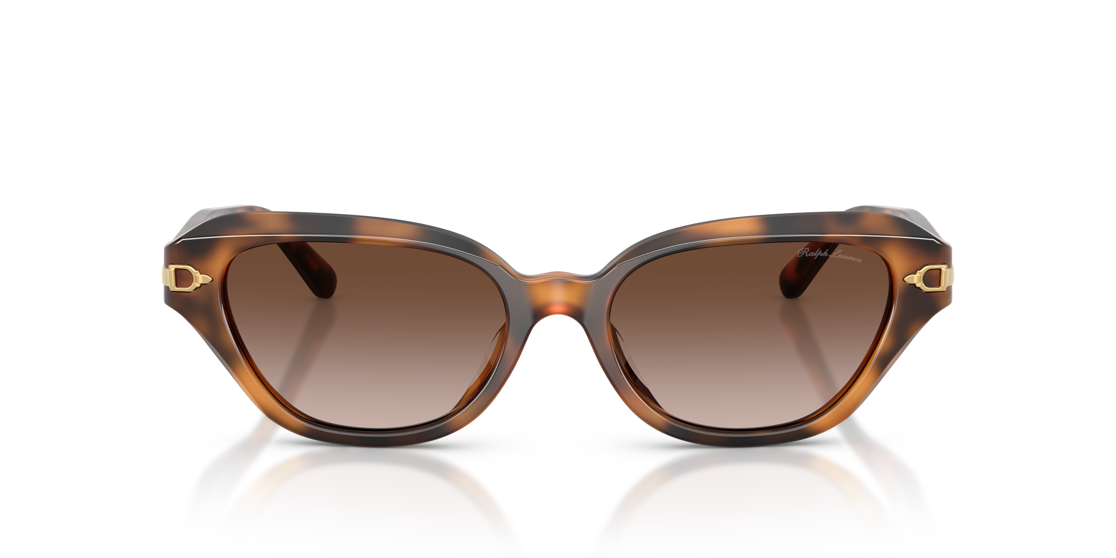 Ralph Lauren RL8244U 608913