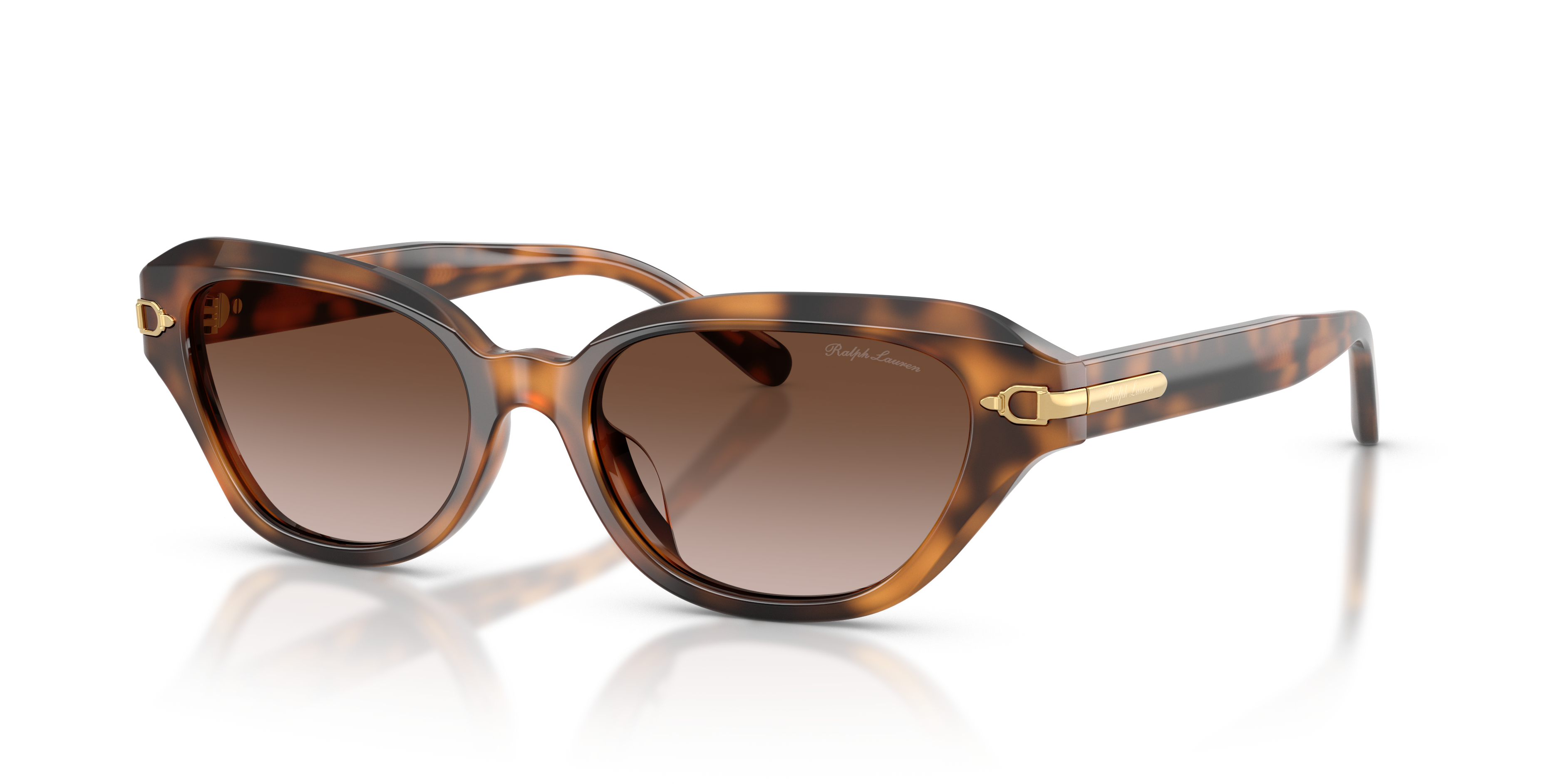 Ralph Lauren RL8244U 608913