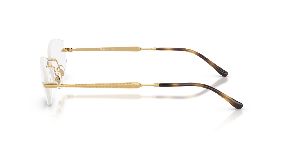 Ray-Ban RX3792V 2500