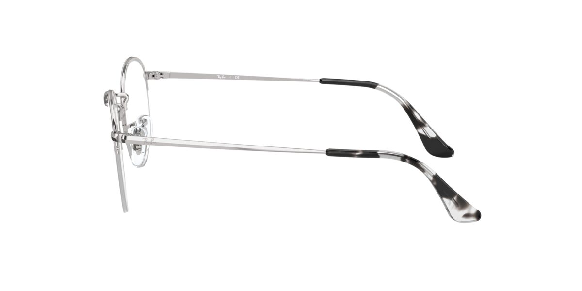 Ray-Ban RX3947V ROUND GAZE 2501