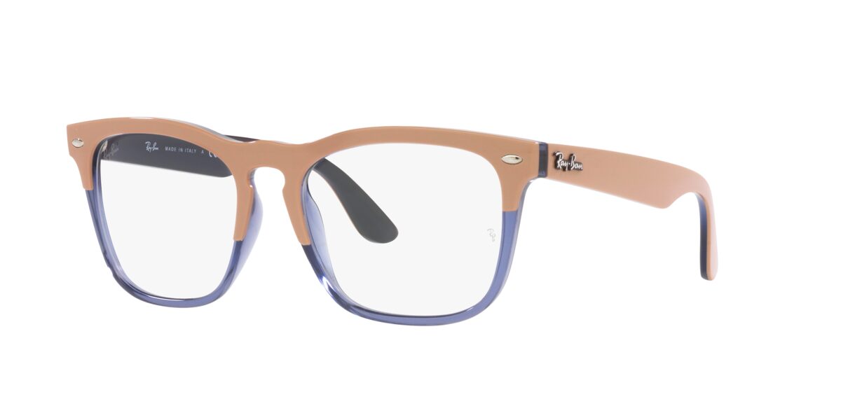 Ray-Ban RX4487V STEVE 8195