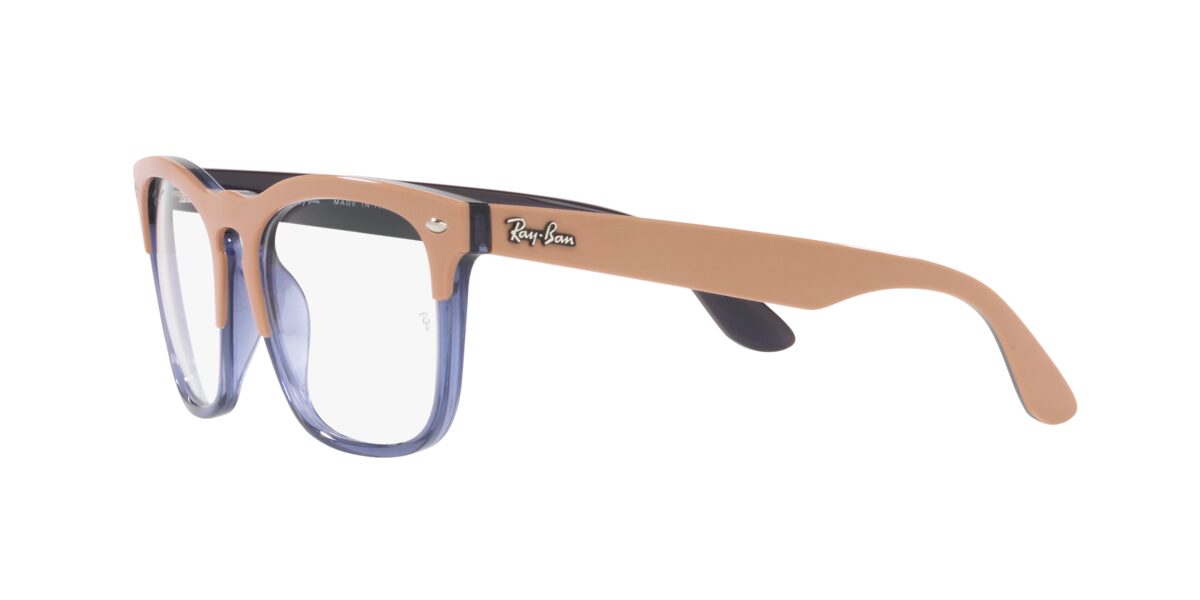 Ray-Ban RX4487V STEVE 8195