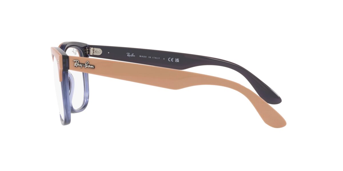 Ray-Ban RX4487V STEVE 8195