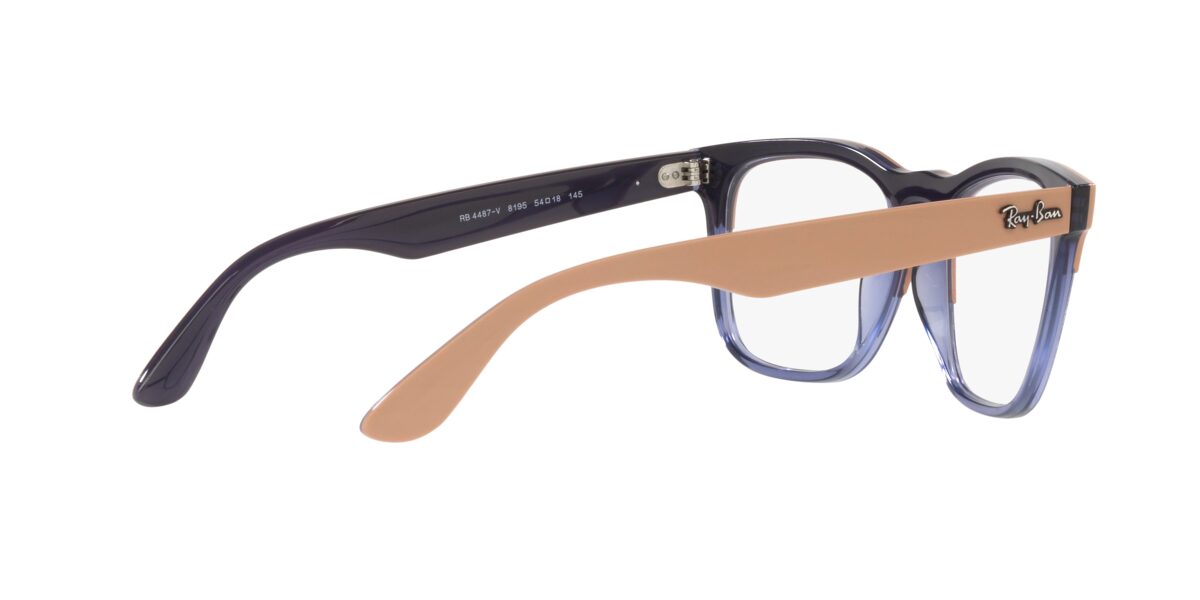 Ray-Ban RX4487V STEVE 8195