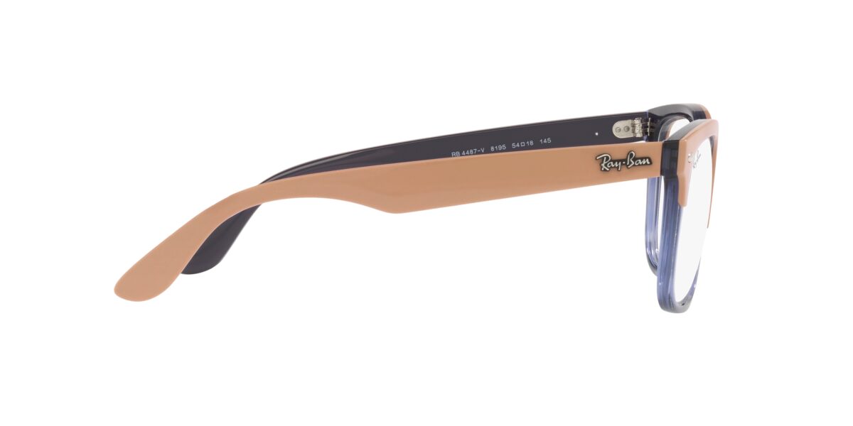 Ray-Ban RX4487V STEVE 8195