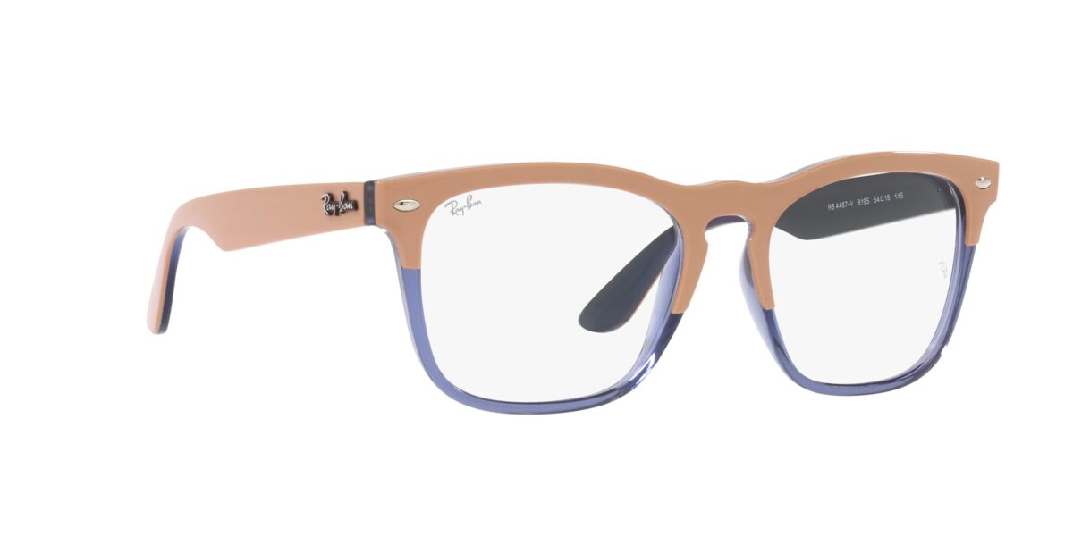 Ray-Ban RX4487V STEVE 8195