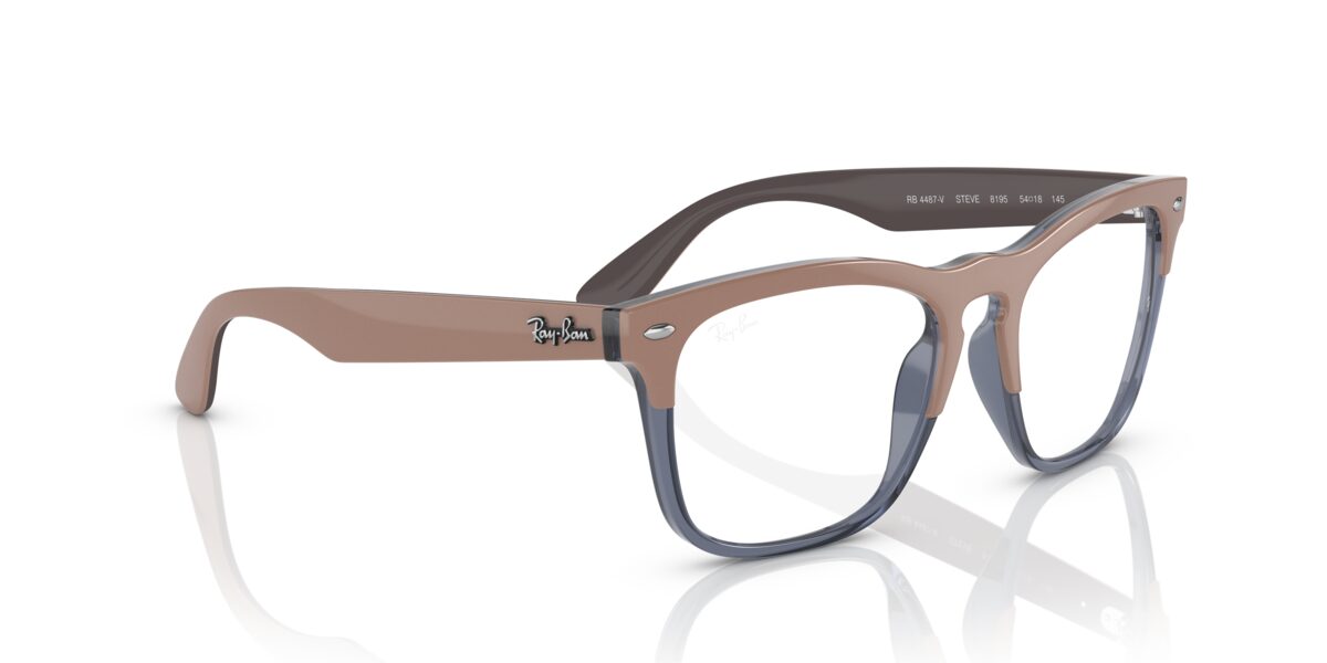 Ray-Ban RX4487V STEVE 8195
