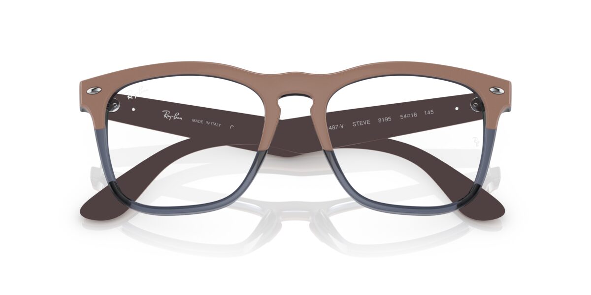Ray-Ban RX4487V STEVE 8195