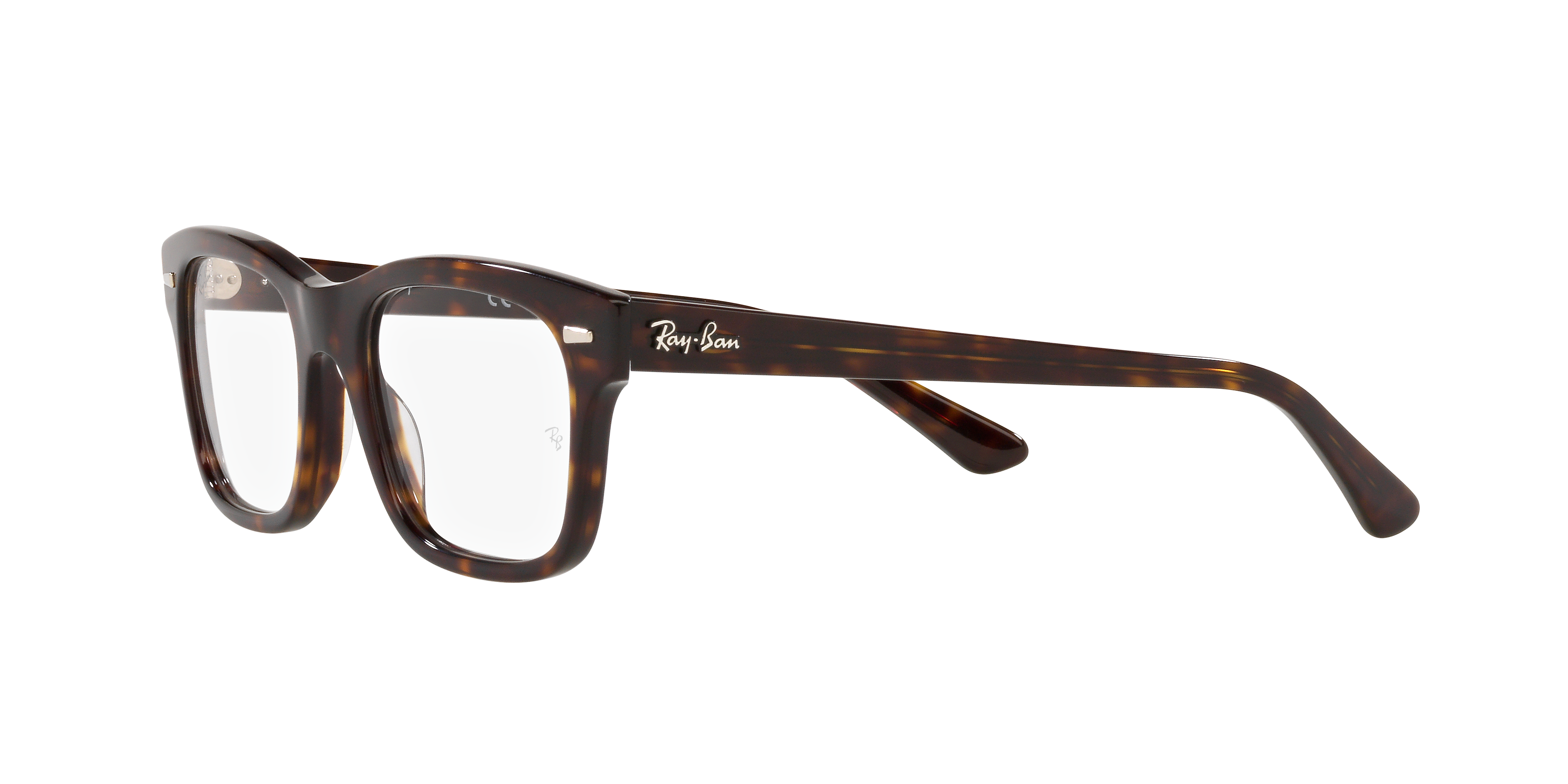 Ray-Ban RX5383 MR BURBANK 2012