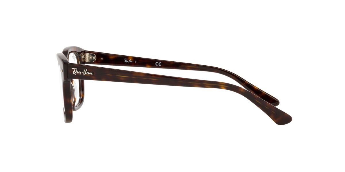 Ray-Ban RX5383 MR BURBANK 2012