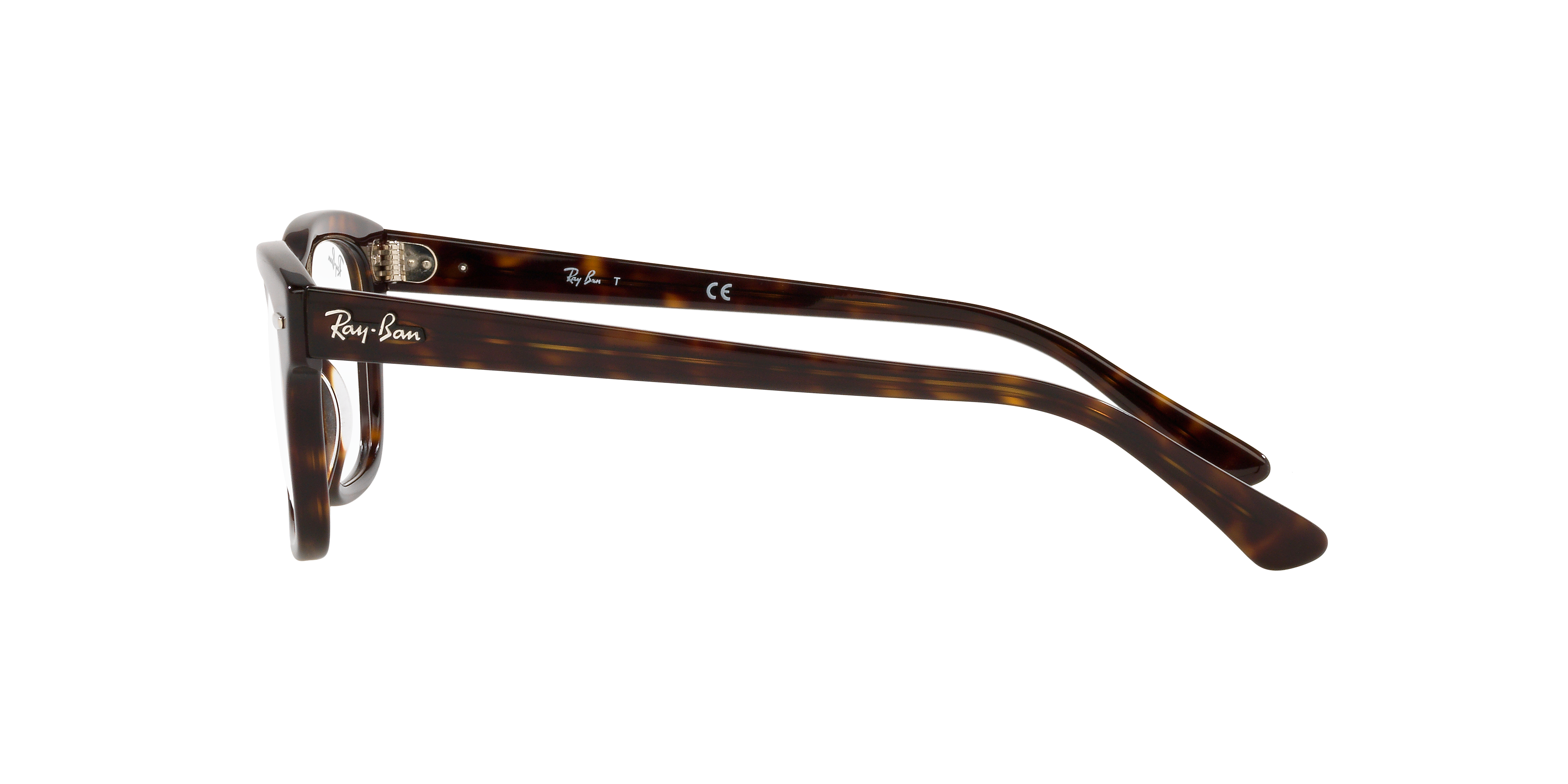 Ray-Ban RX5383 MR BURBANK 2012
