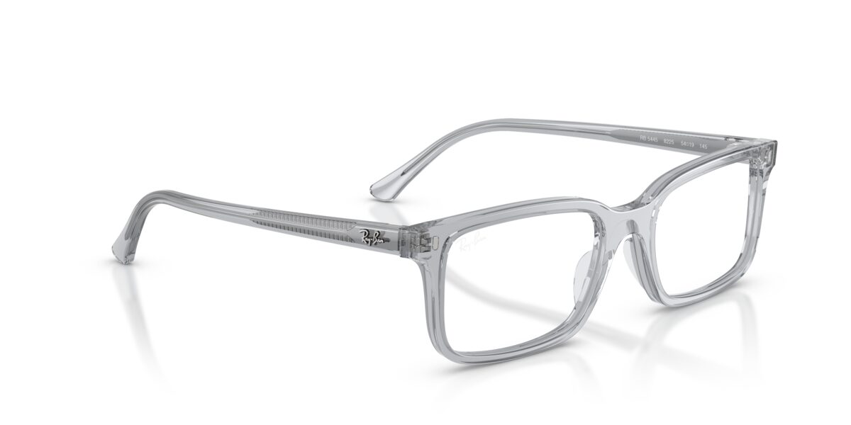 Ray-Ban RX5445 8225