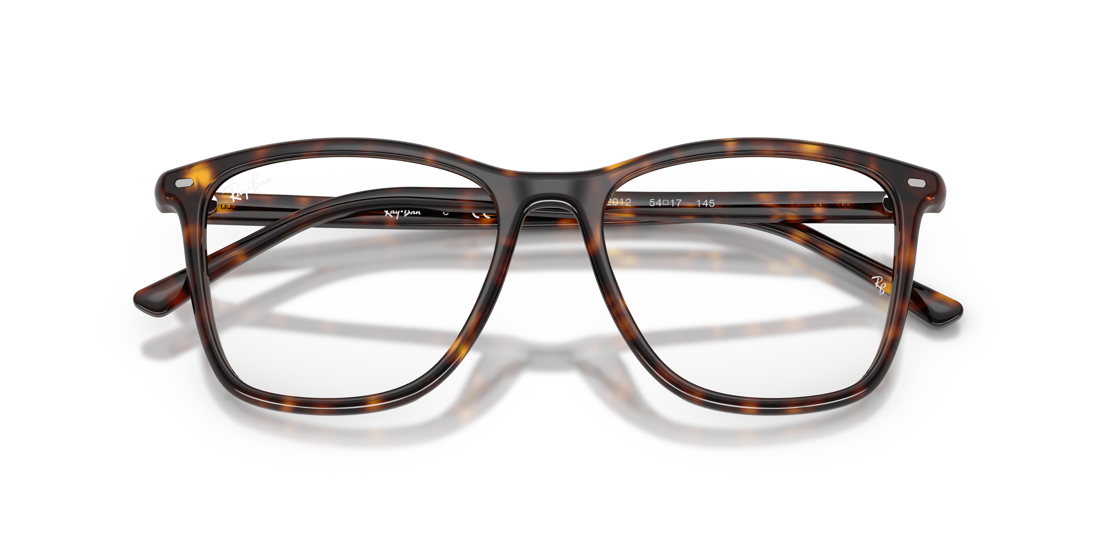 Ray-Ban RX5455 2012