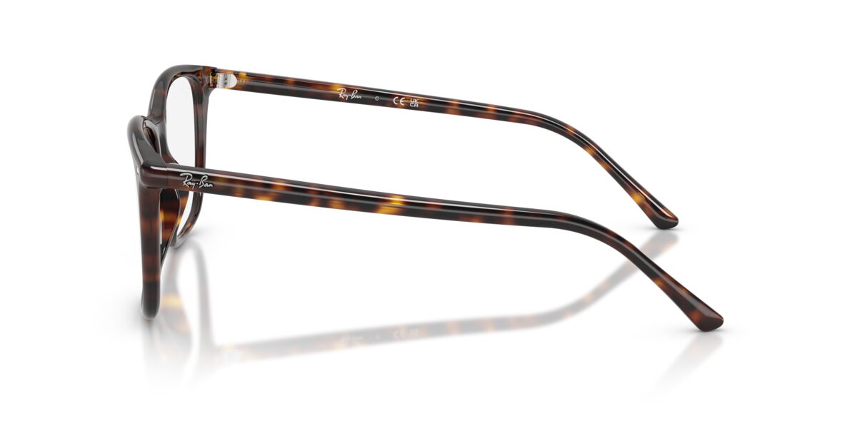 Ray-Ban RX5455 2012