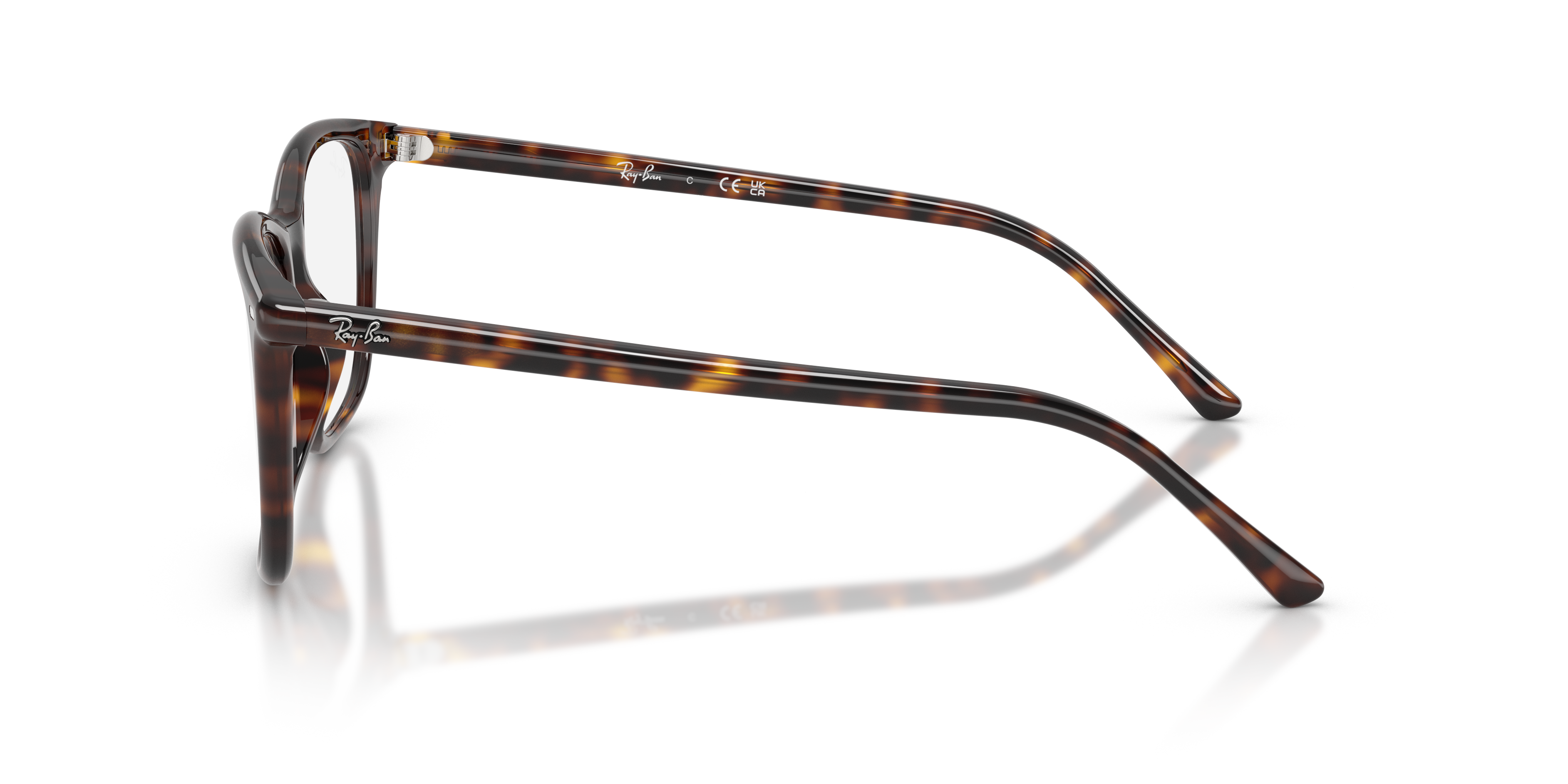 Ray-Ban RX5455 2012