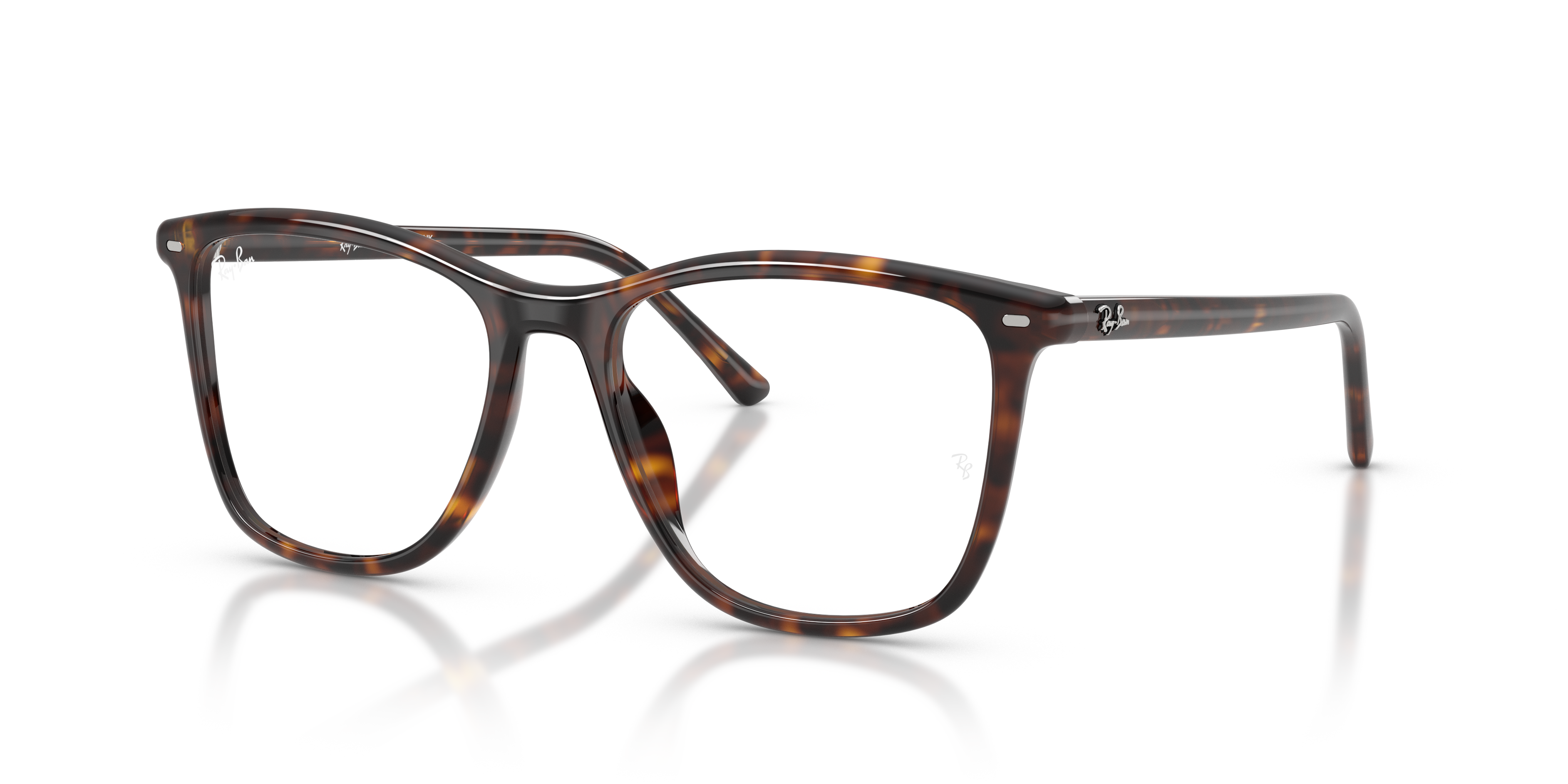 Ray-Ban RX5455 2012