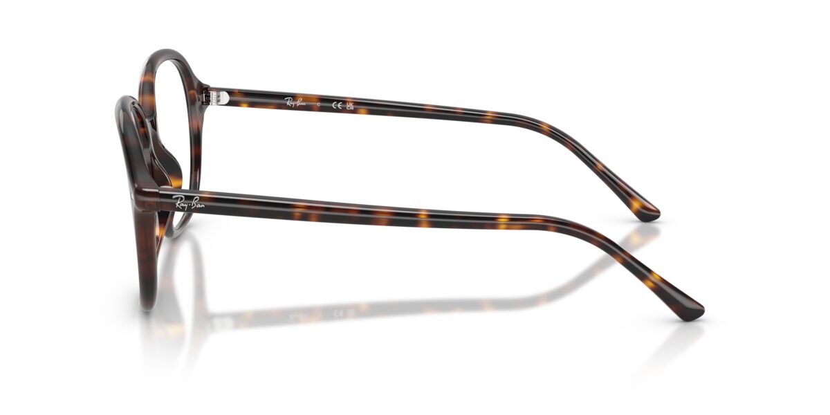 Ray-Ban RX5456 2012