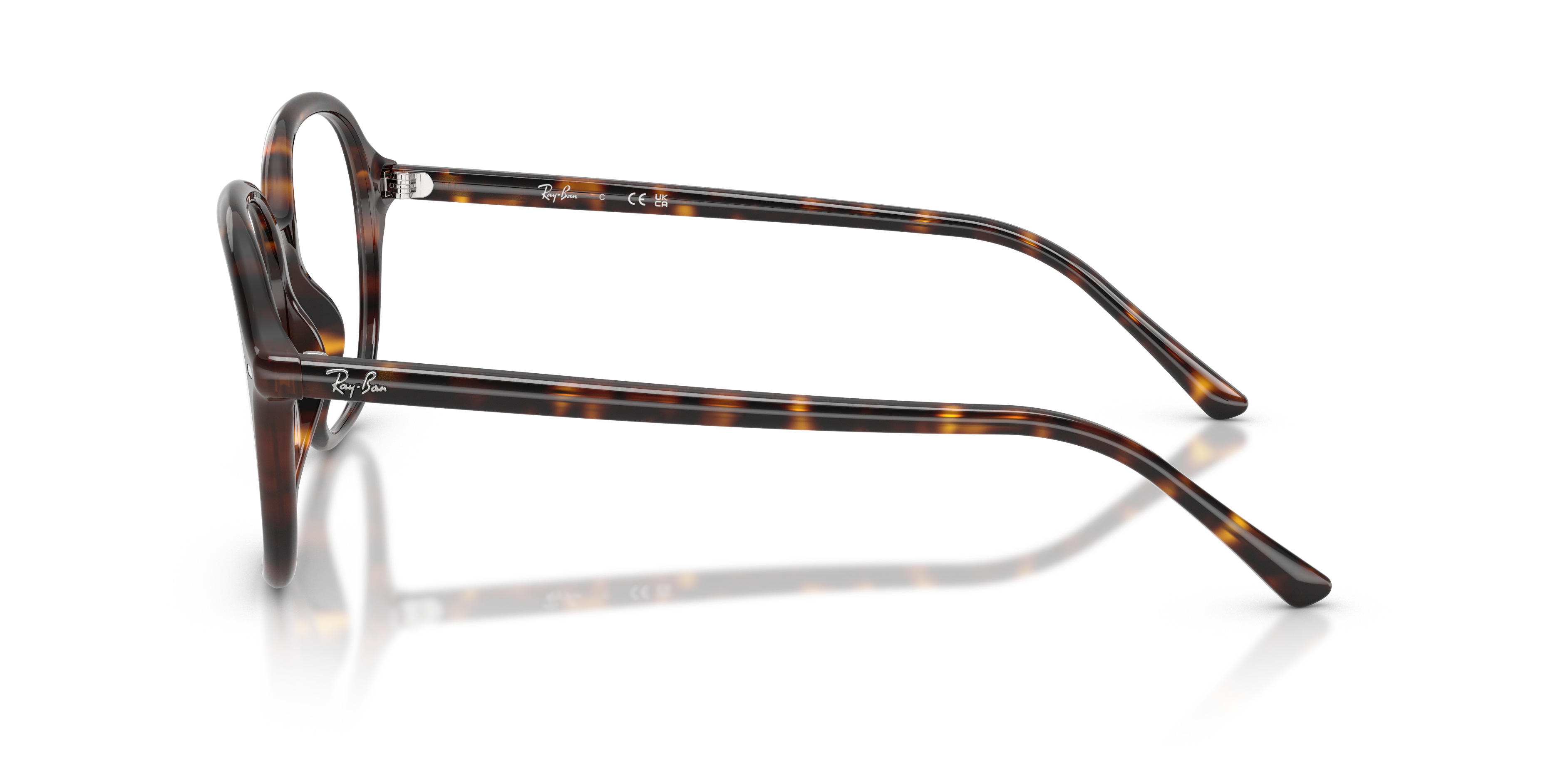 Ray-Ban RX5456 2012