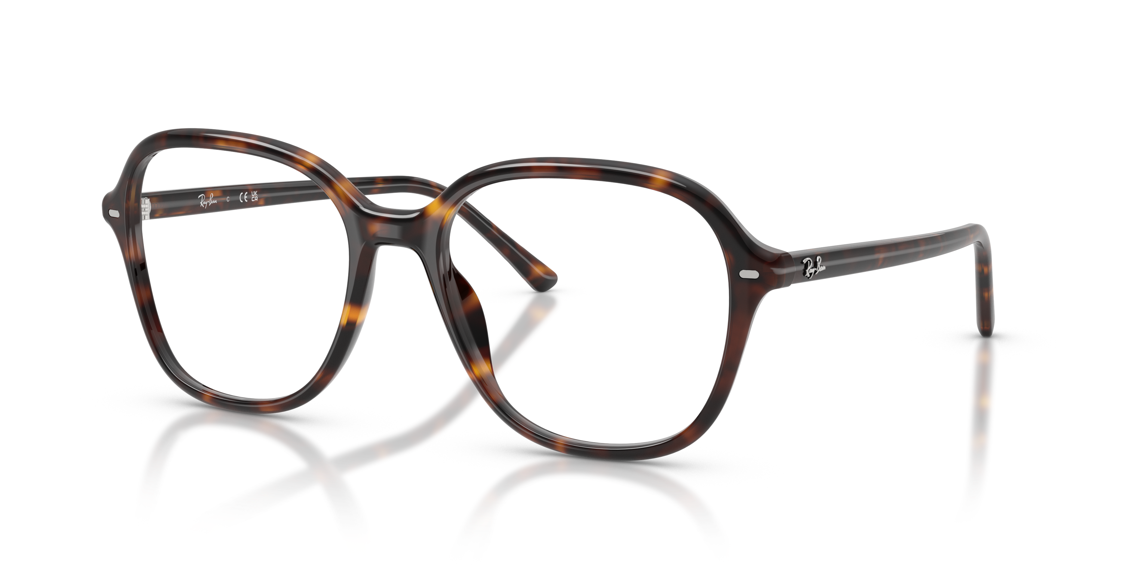 Ray-Ban RX5456 2012