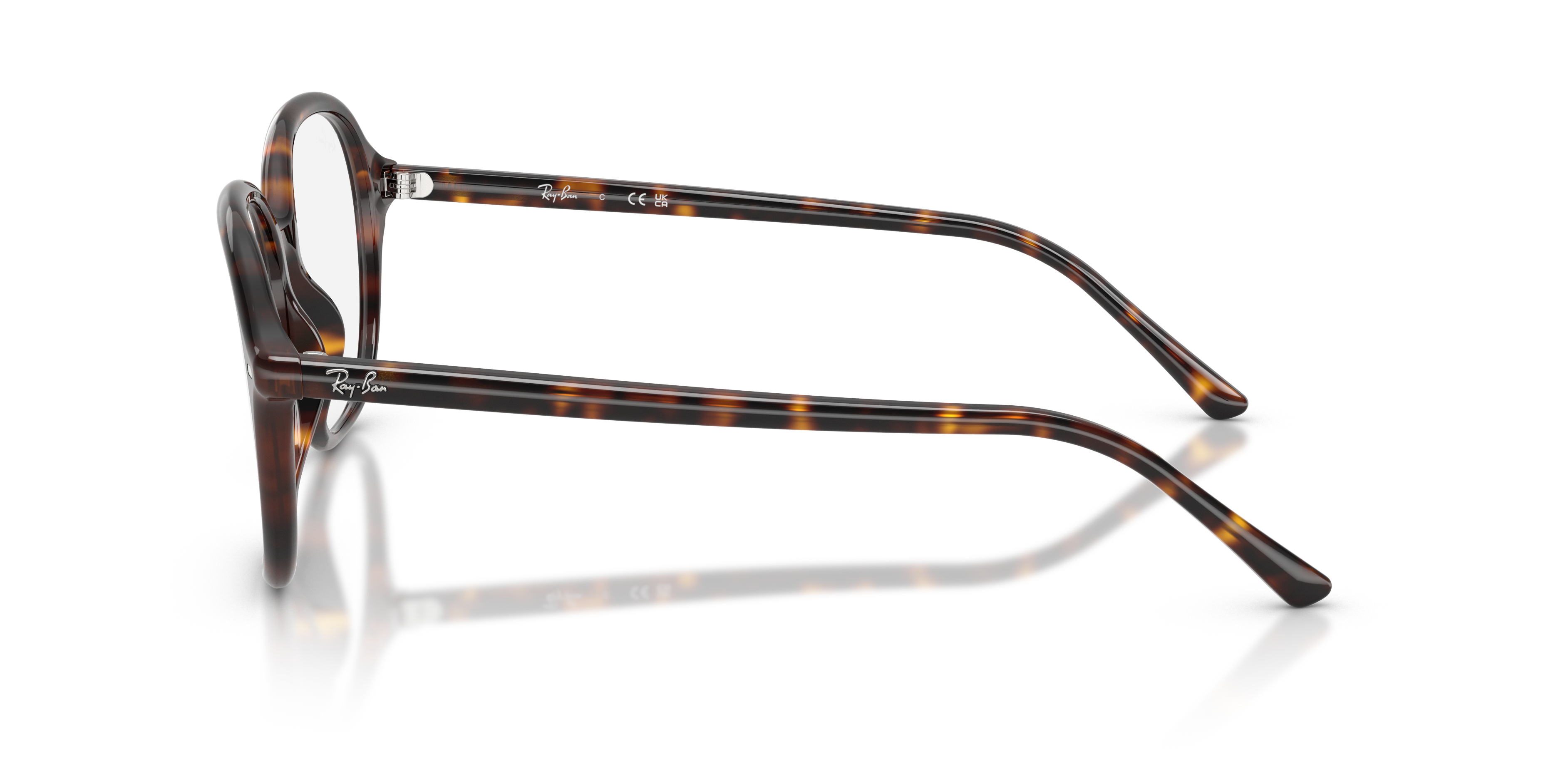 Ray-Ban RX5456 2012