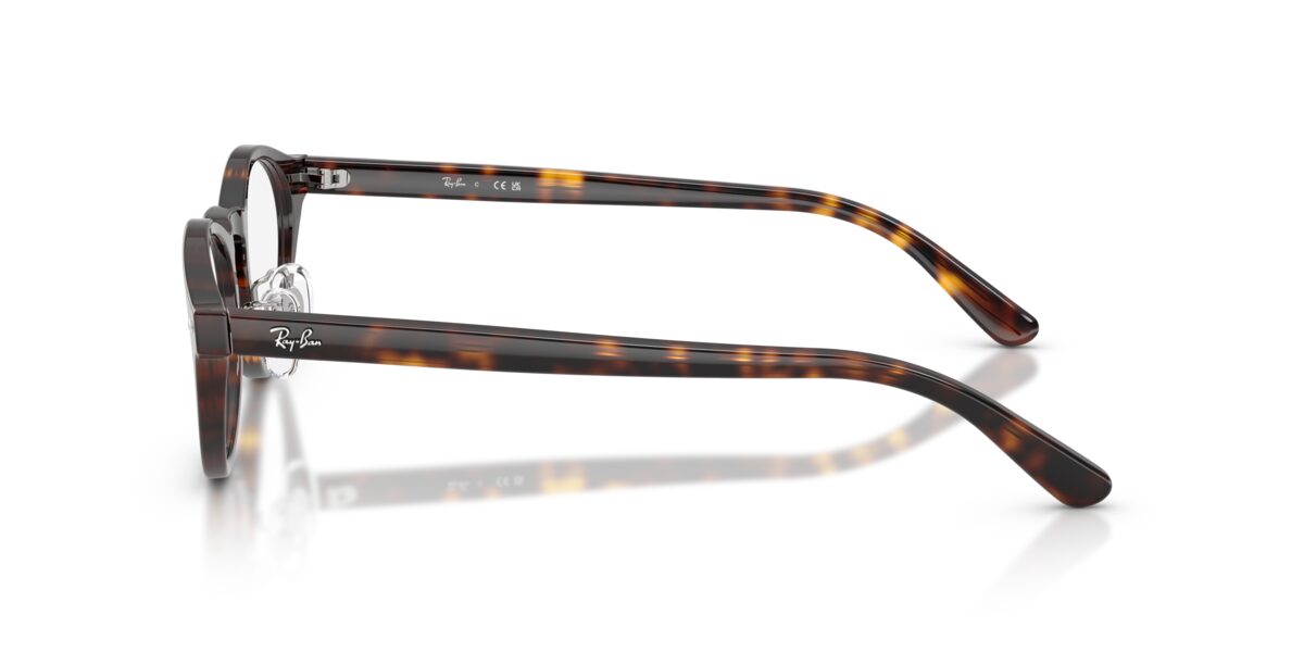 Ray-Ban RX5457D 2012