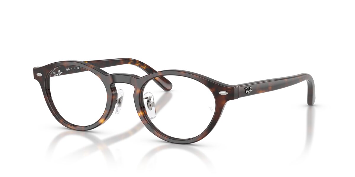 Ray-Ban RX5457D 2012