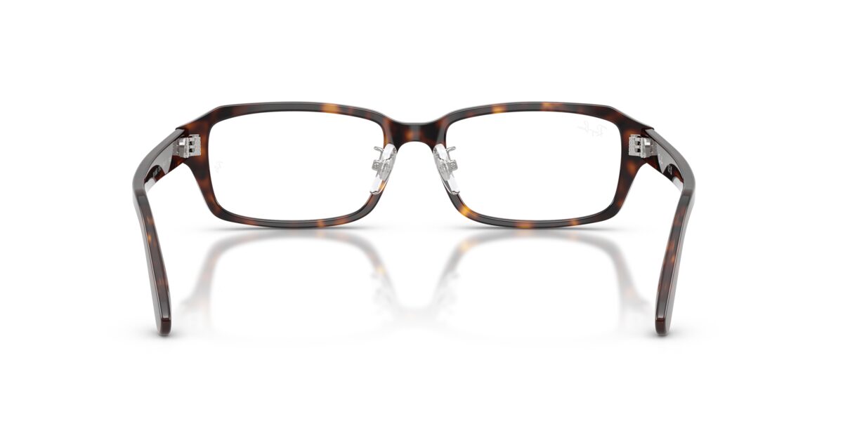 Ray-Ban RX5458D 2012
