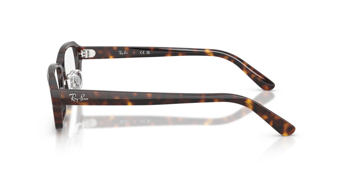 Ray-Ban RX5458D 2012