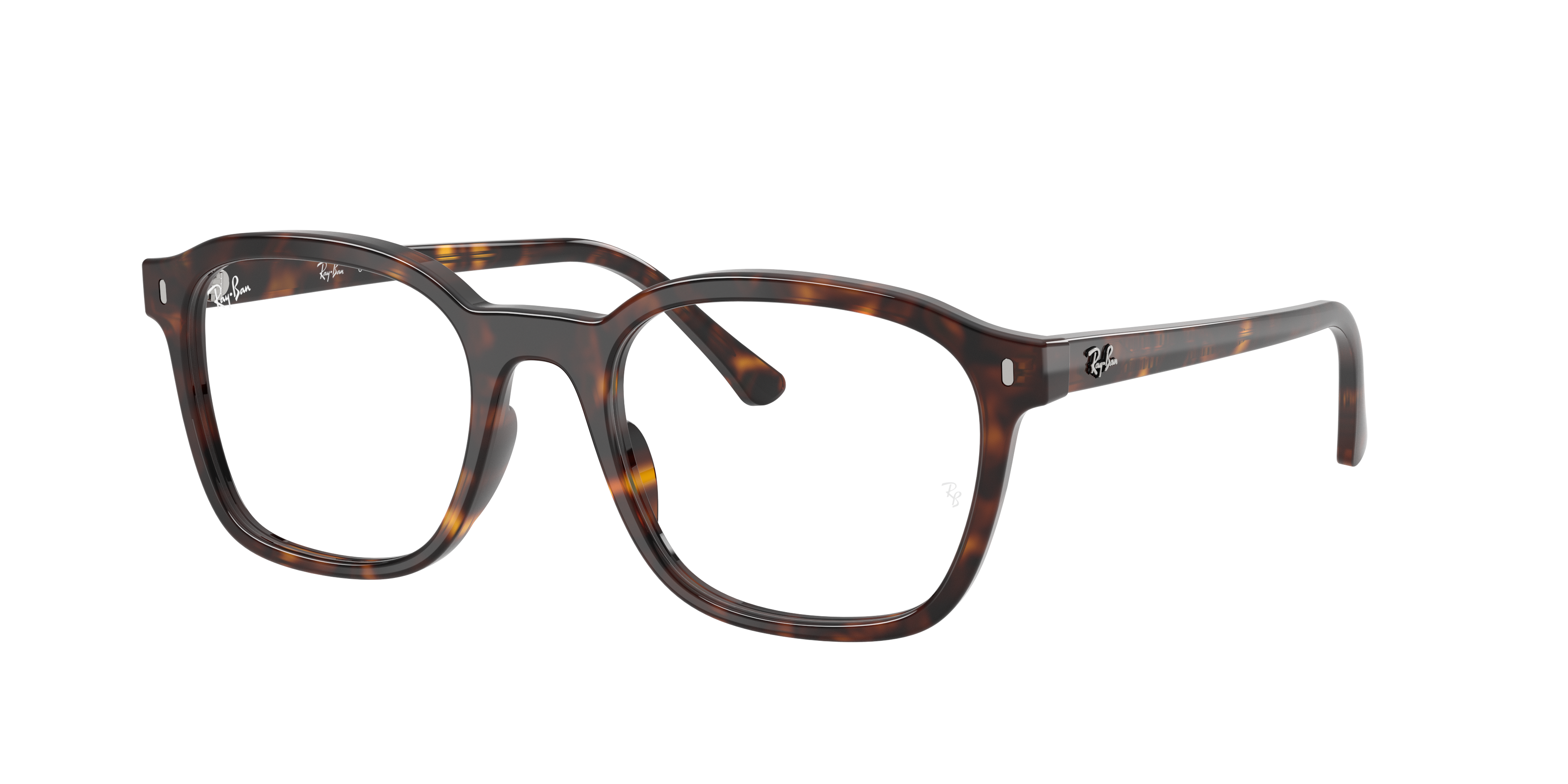 Ray-Ban RX5460 2012