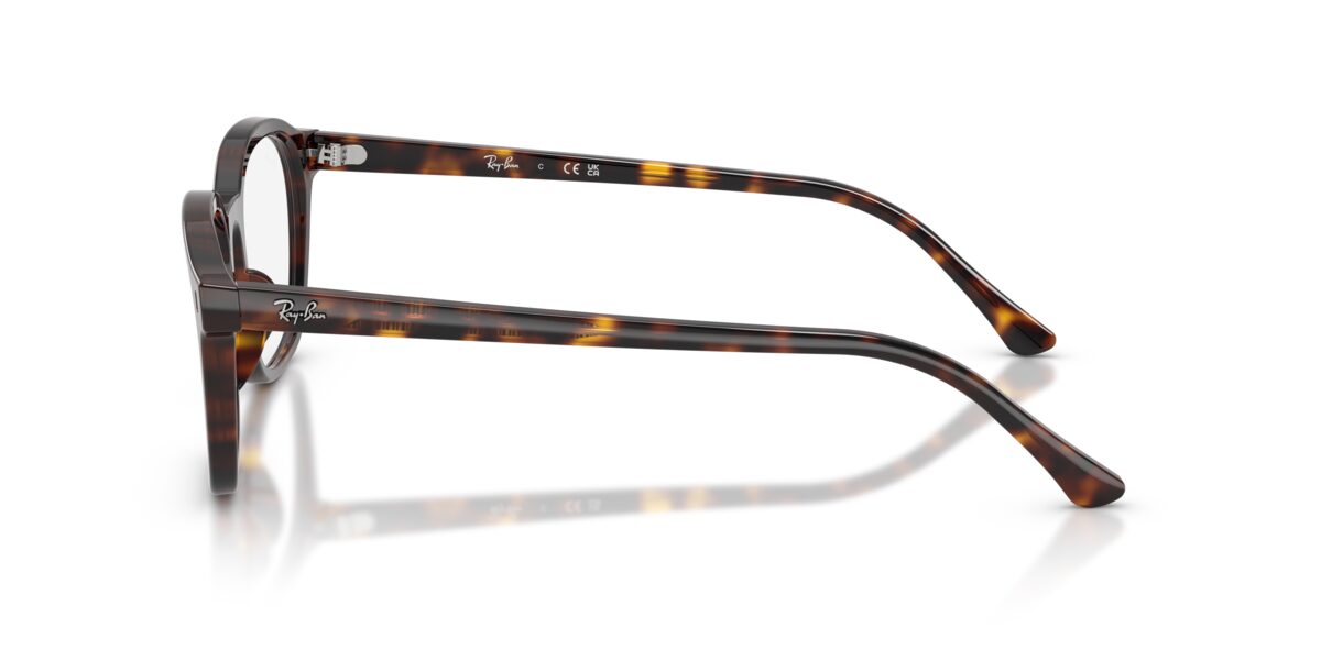 Ray-Ban RX5460 2012