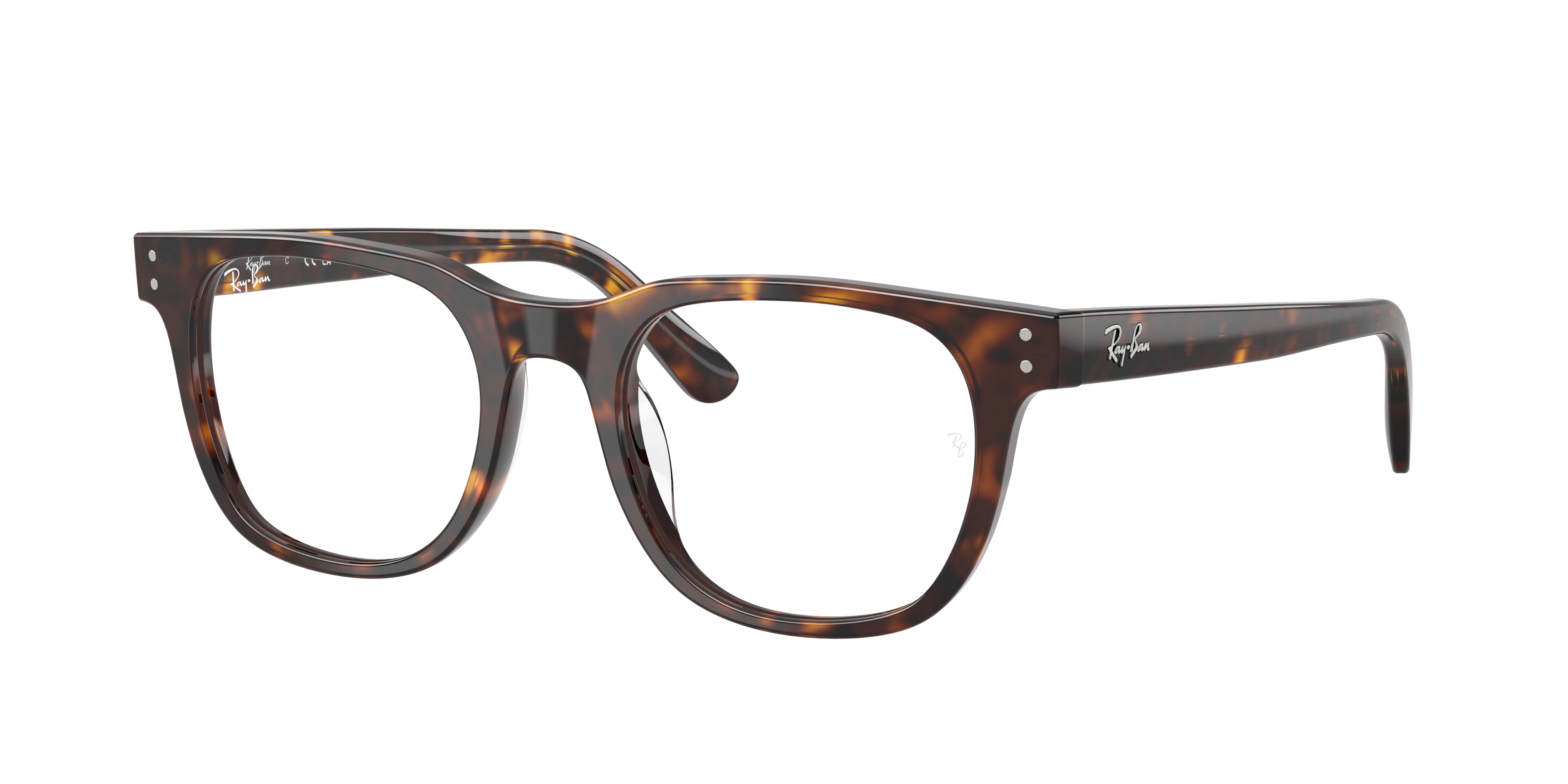 Ray-Ban RX5461D 2012