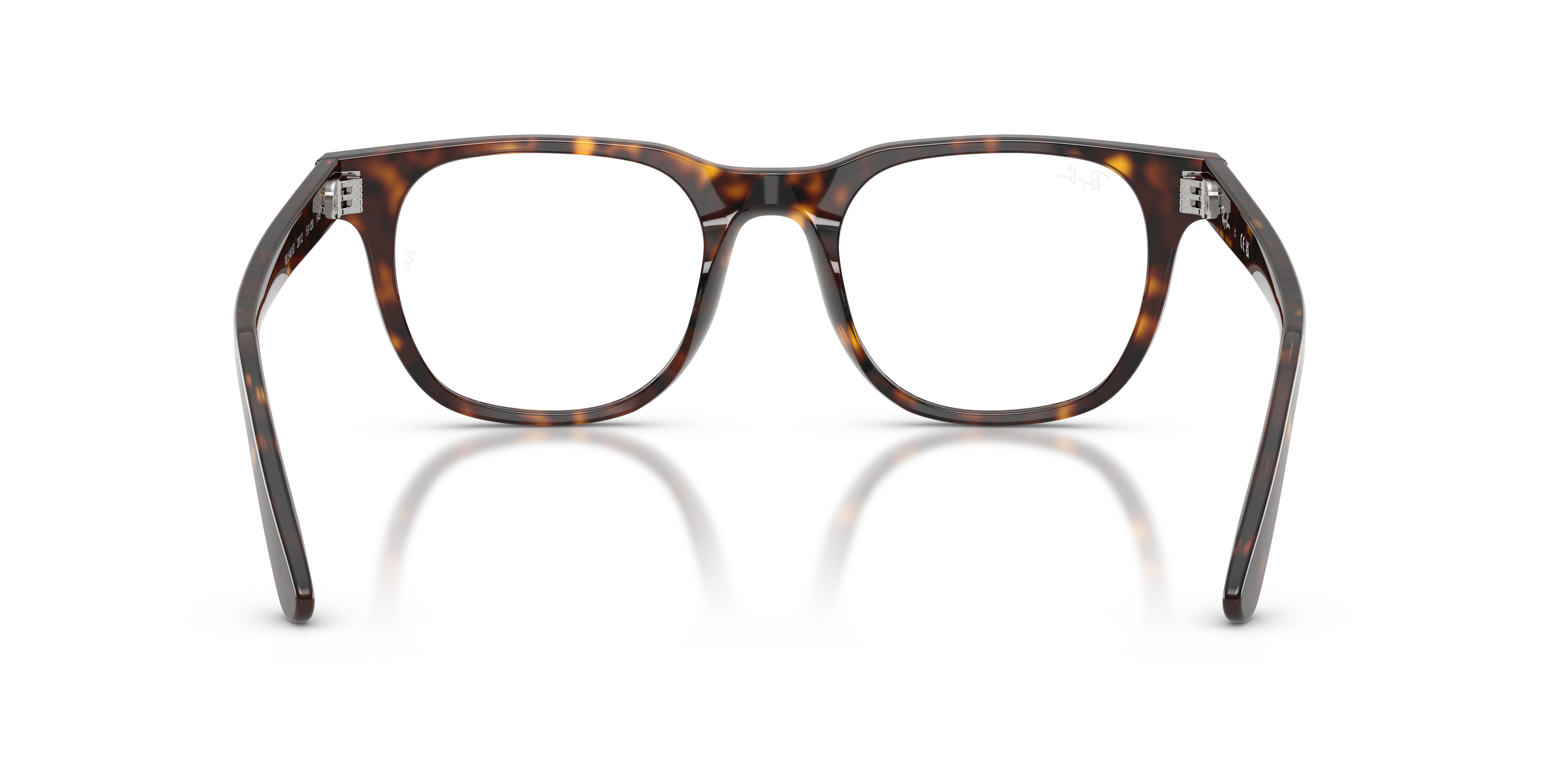 Ray-Ban RX5461D 2012