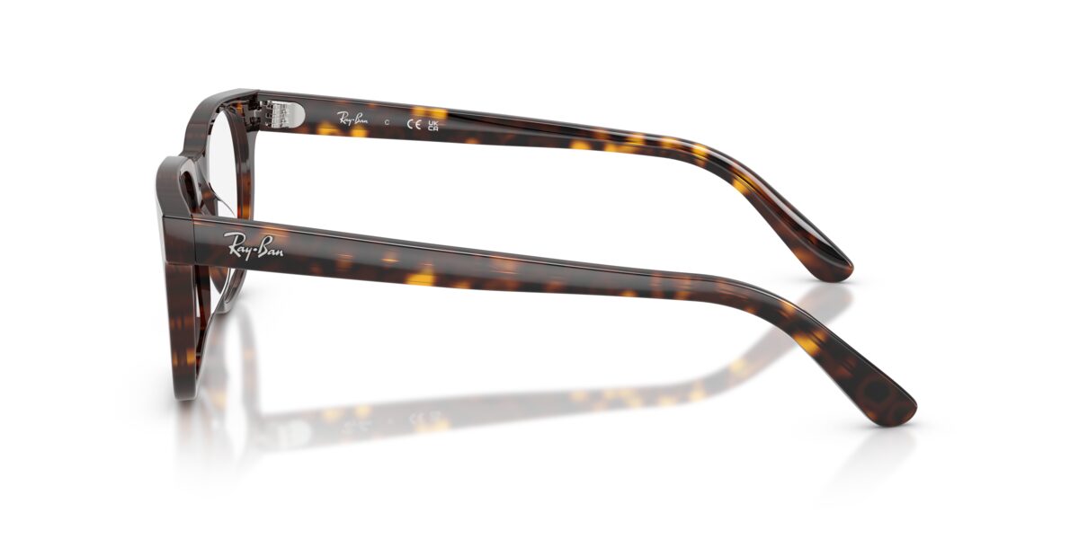 Ray-Ban RX5461D 2012