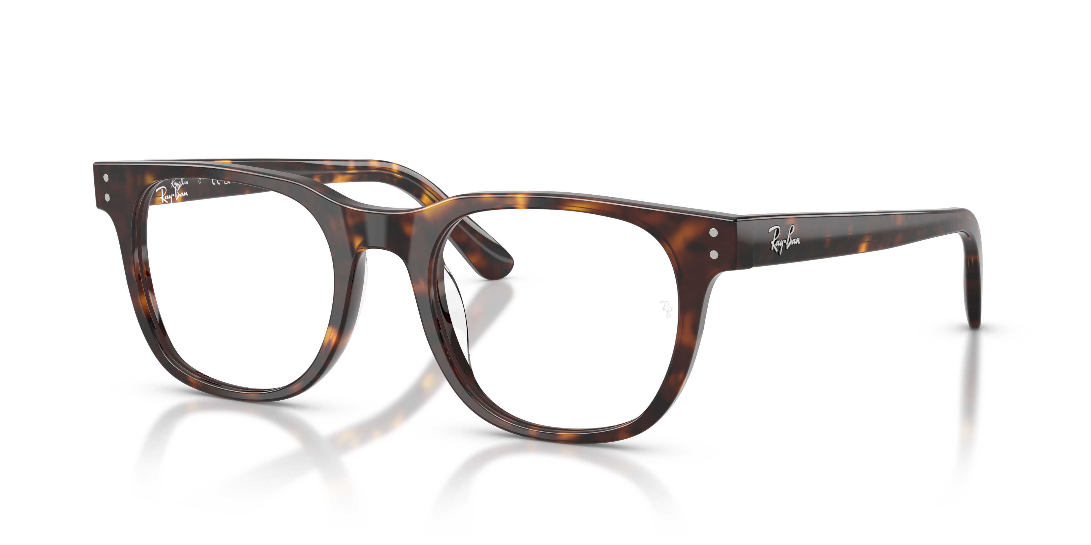 Ray-Ban RX5461D 2012