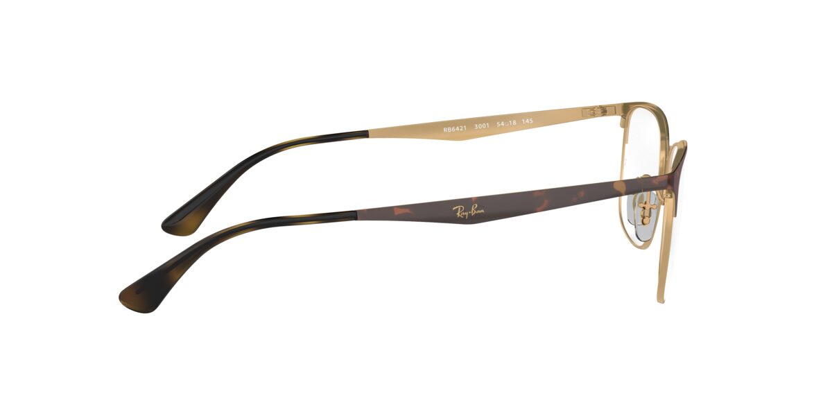 Ray-Ban RX6421 3001